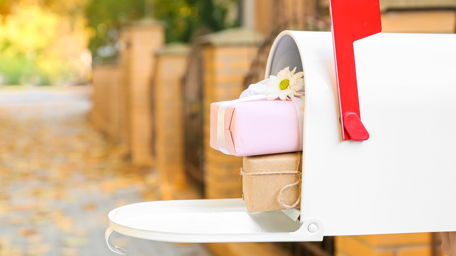 Hug in a Box – Send Love by Post