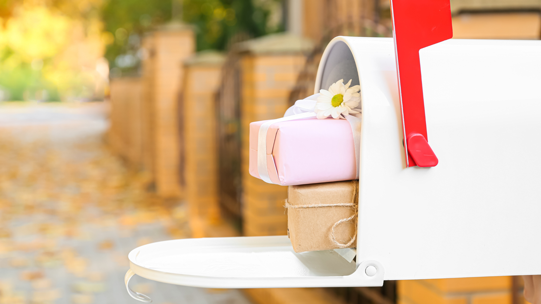 Hug in a Box – Send Love by Post